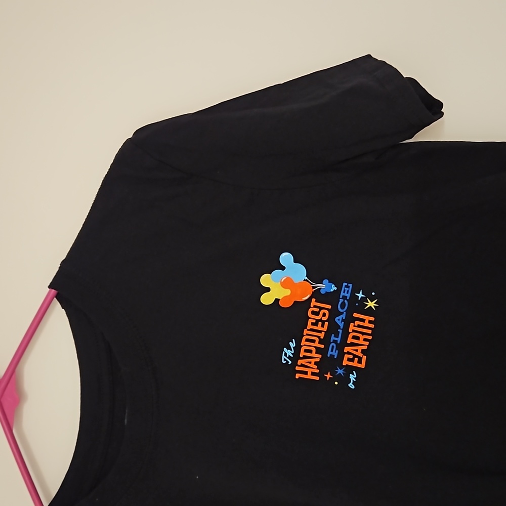 FUNKO Disney Disneyland Resort 65th Anniversary graphic tee Medium Unisex